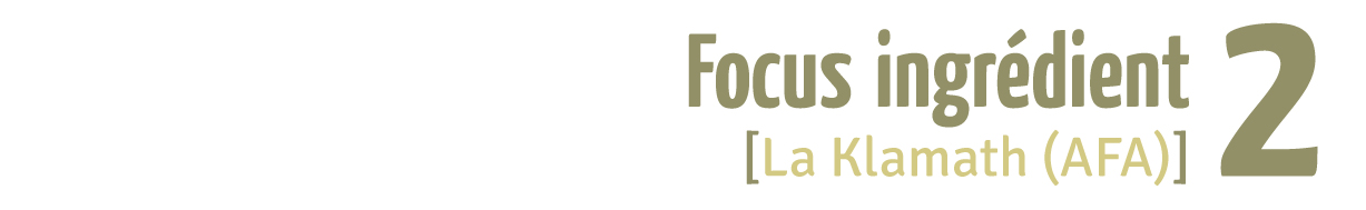 2 - Focus Ingrédient - La Klamath (AFA), une algue bouclier contre les infections !