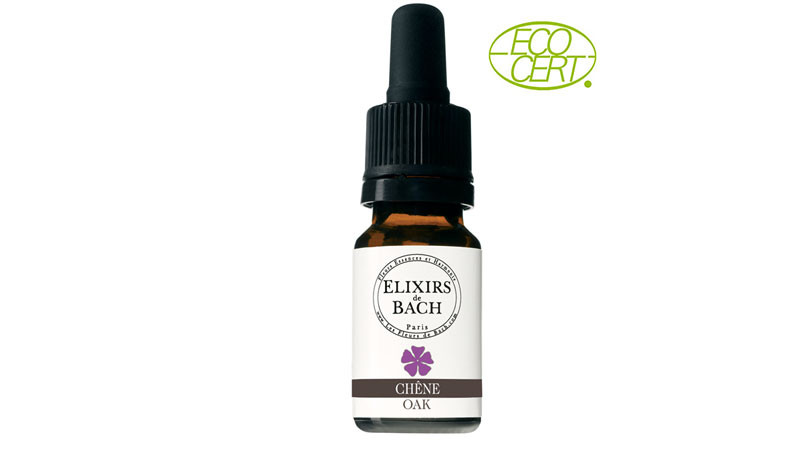 Elixir Floral Bio Chêne / Oak