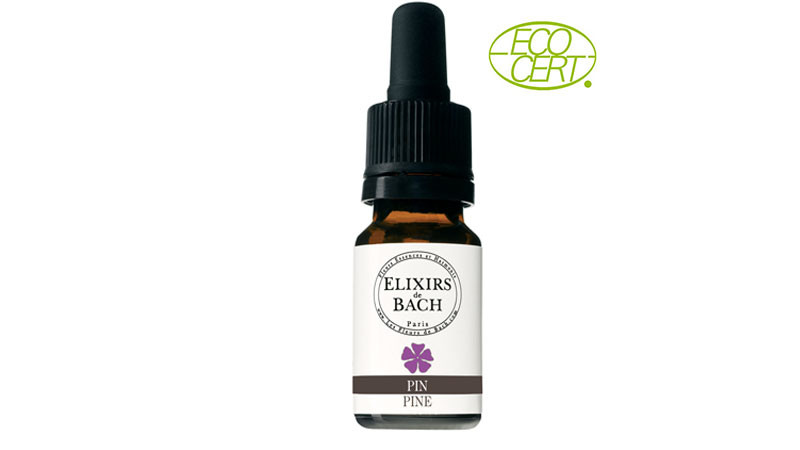 Elixir Floral Bio Pin / Pine