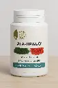 AFA-UPandGO Synphonat.webp