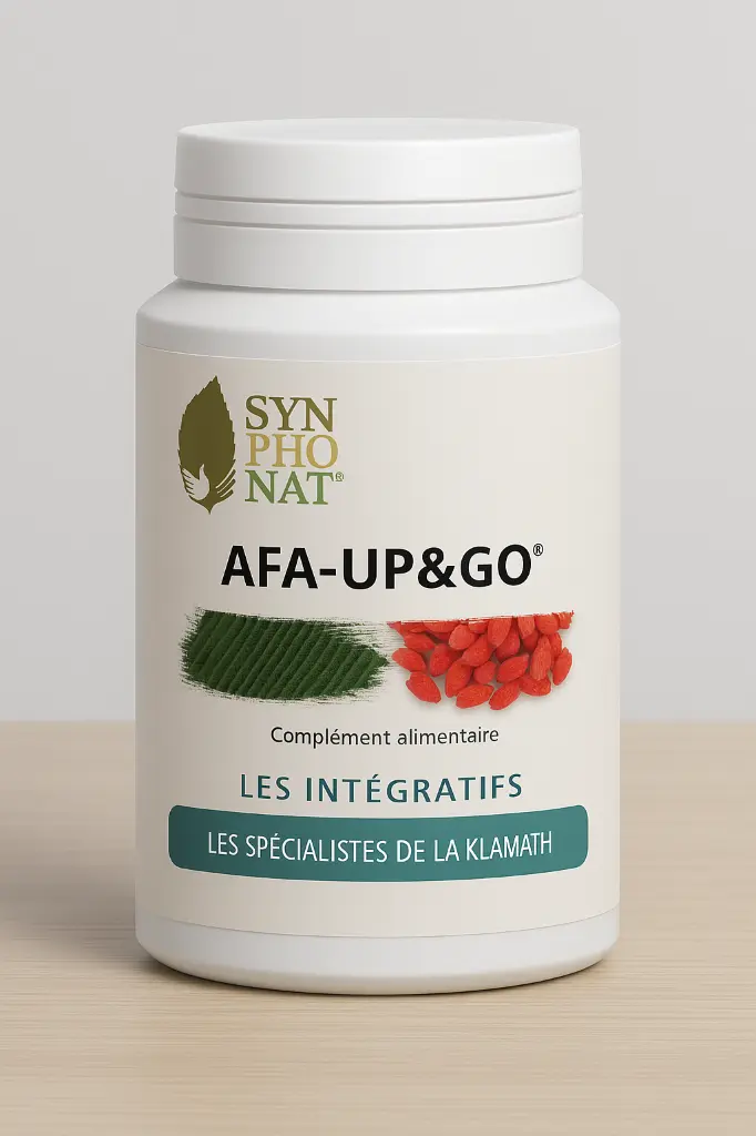 PROMOTION DDM COURTE AFA-UP&GO® 28