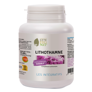 PROMOTION DDM COURTE LITHOTHAMNE