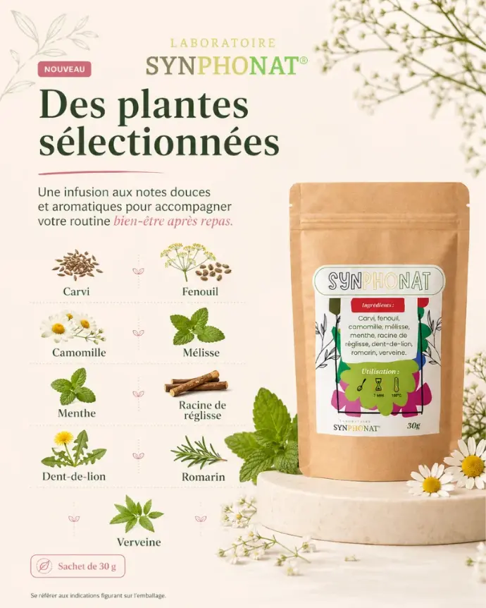 Mélange de Plantes pour Infusion Après Repas