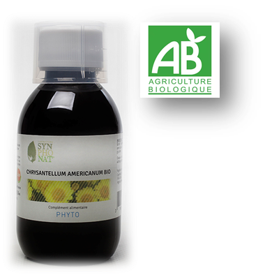 CHRYSANTELLUM AMERICANUM Bio